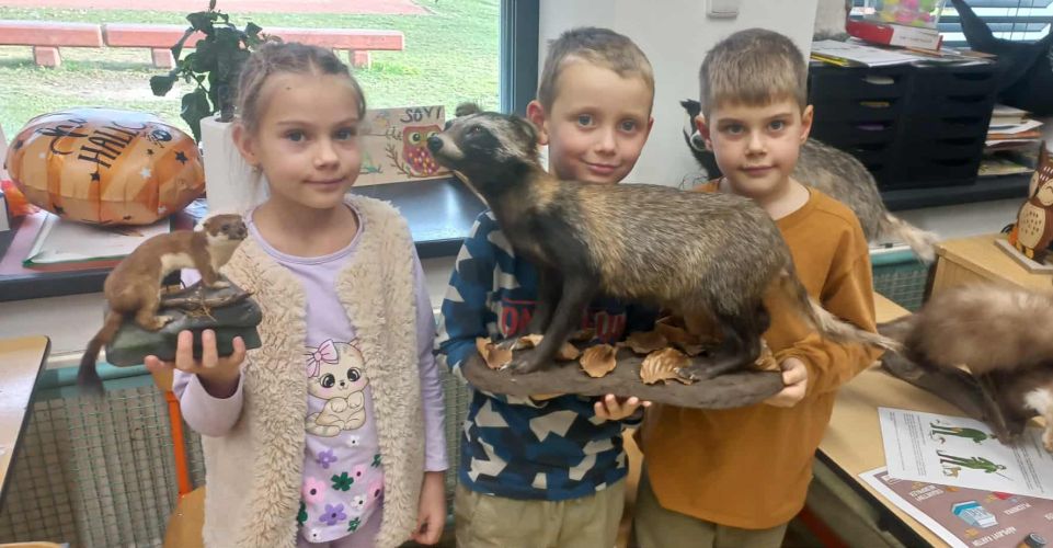 Lesní pedagogika ve školní družině 