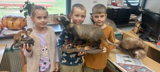 Fotografie img-20251112-wa0001_original.jpg