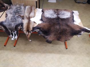 Fotografie img-20251112-wa0002_original.jpg