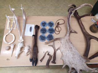 Fotografie img-20251112-wa0003_original.jpg