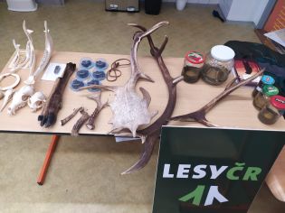 Fotografie img-20251112-wa0005_original.jpg