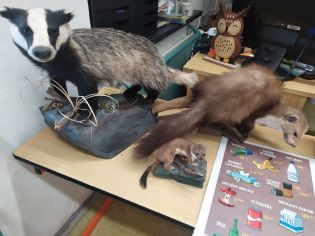 Fotografie img-20251112-wa0008_original.jpg