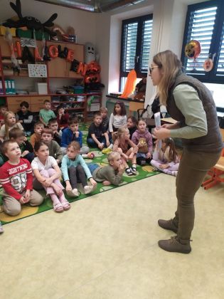 Fotografie img-20251112-wa0009_original.jpg