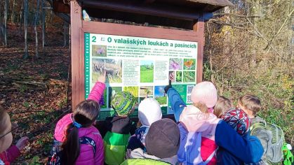 Fotografie img-20251112-wa0010_original.jpg