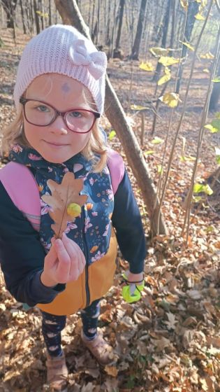 Fotografie img-20251112-wa0011_original.jpg