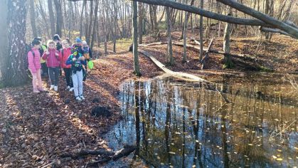 Fotografie img-20251112-wa0013_original.jpg