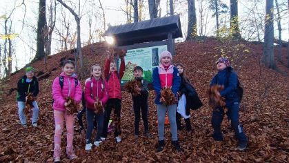 Fotografie img-20251112-wa0014_original.jpg