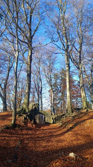 Fotografie img-20251112-wa0020_original.jpg