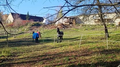 Fotografie img-20251112-wa0024_original.jpg