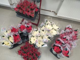 Fotografie img-20251210-wa0000_original.jpg