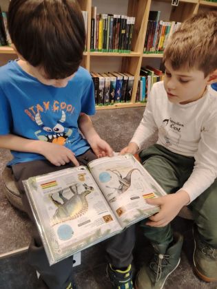 Fotografie img-20251211-wa0025_original.jpg