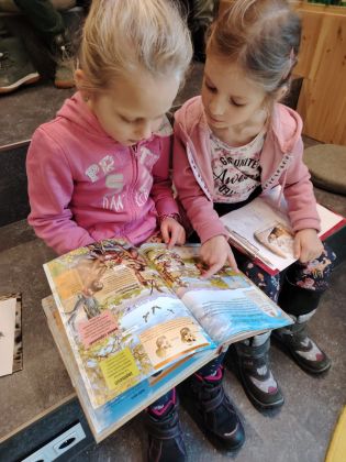 Fotografie img-20251211-wa0028_original.jpg