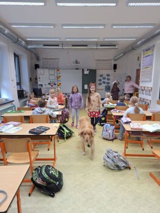 Fotografie img-20251211-wa0052_original.jpg