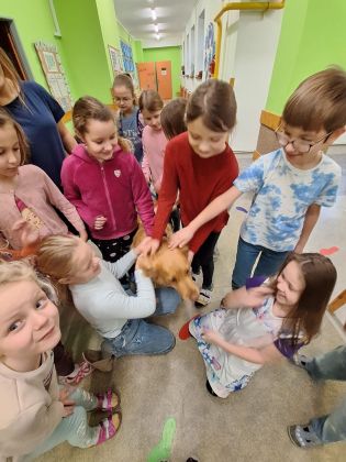 Fotografie img-20251211-wa0055_original.jpg