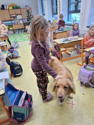 Fotografie img-20251211-wa0056_original.jpg