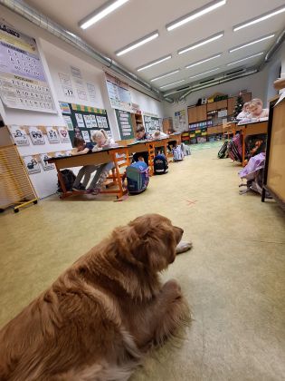 Fotografie img-20251211-wa0058_original.jpg