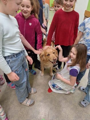 Fotografie img-20251211-wa0059_original.jpg