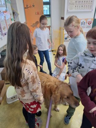 Fotografie img-20251211-wa0060_original.jpg