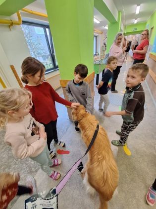 Fotografie img-20251211-wa0061_original.jpg