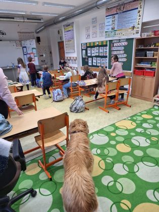 Fotografie img-20251211-wa0062_original.jpg