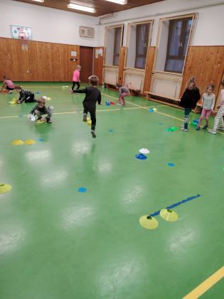 Fotografie img-20251216-wa0012_original.jpg