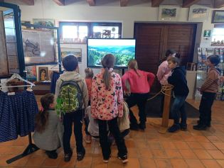 Fotografie img-20251217-wa0011_original.jpg