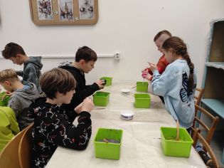 Fotografie img_20251218_100156_original.jpg