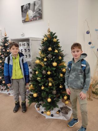 Fotografie img_20251218_103456_original.jpg