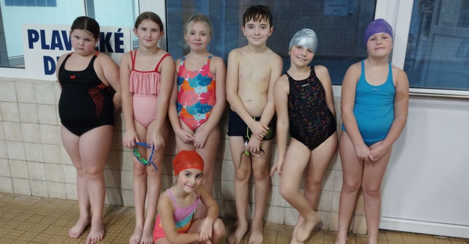 Vánoční plavecké závody 