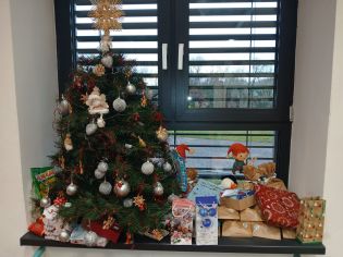 Fotografie img-20251223-wa0003_original.jpg