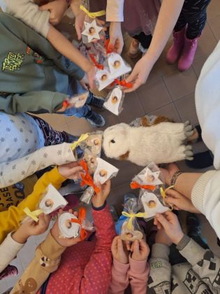 Fotografie img-20260106-wa0010_1_original.jpg