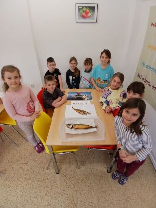 Fotografie whatsapp_image_2026-01-09_at_111924_1_original.jpeg