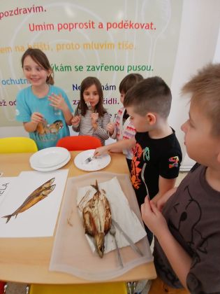 Fotografie whatsapp_image_2026-01-09_at_111936_3_original.jpeg