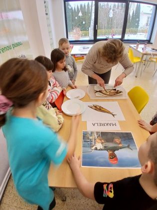 Fotografie whatsapp_image_2026-01-09_at_111936_original.jpeg