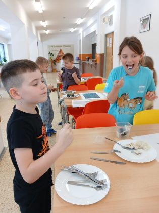 Fotografie whatsapp_image_2026-01-09_at_111938_3_original.jpeg