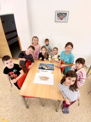 Fotografie whatsapp_image_2026-01-09_at_111940_4_original.jpeg