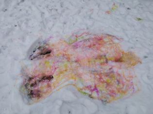 Fotografie img-20260109-wa0001_original.jpg