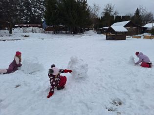 Fotografie img-20260116-wa0003_original.jpg