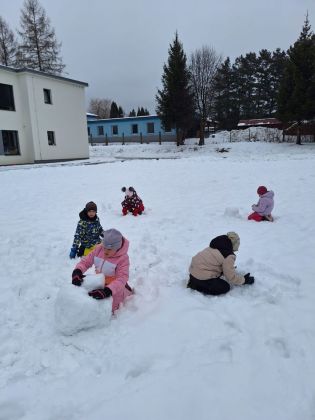 Fotografie img-20260116-wa0006_original.jpg