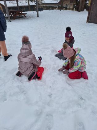 Fotografie img-20260116-wa0009_original.jpg