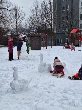 Fotografie img-20260116-wa0010_original.jpg