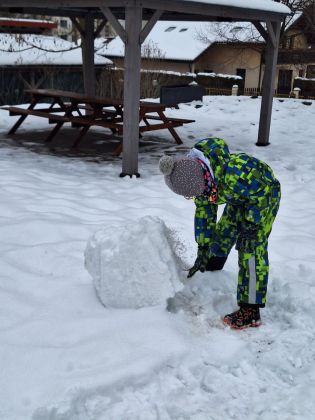 Fotografie img-20260116-wa0011_original.jpg