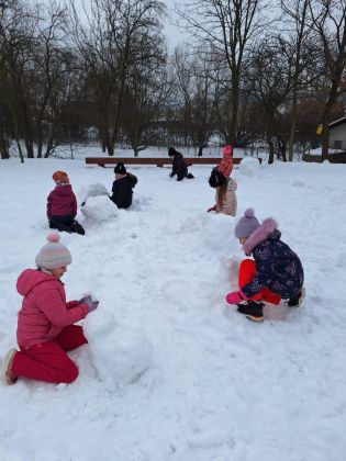 Fotografie img-20260116-wa0012_original.jpg