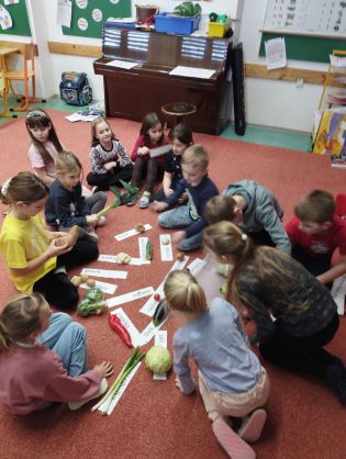 Fotografie img_20260120_111529_original.jpg