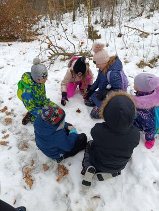 Fotografie img-20260123-wa0024_original.jpg