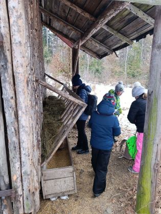 Fotografie img-20260123-wa0026_original.jpg