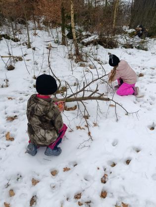 Fotografie img-20260123-wa0027_original.jpg