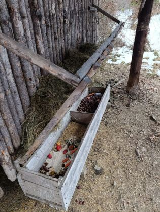 Fotografie img-20260123-wa0028_original.jpg