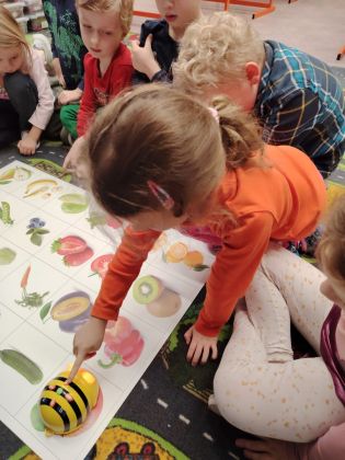 Fotografie img-20260131-wa0022_original.jpg