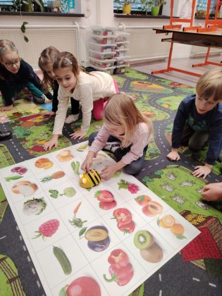 Fotografie img-20260131-wa0026_original.jpg